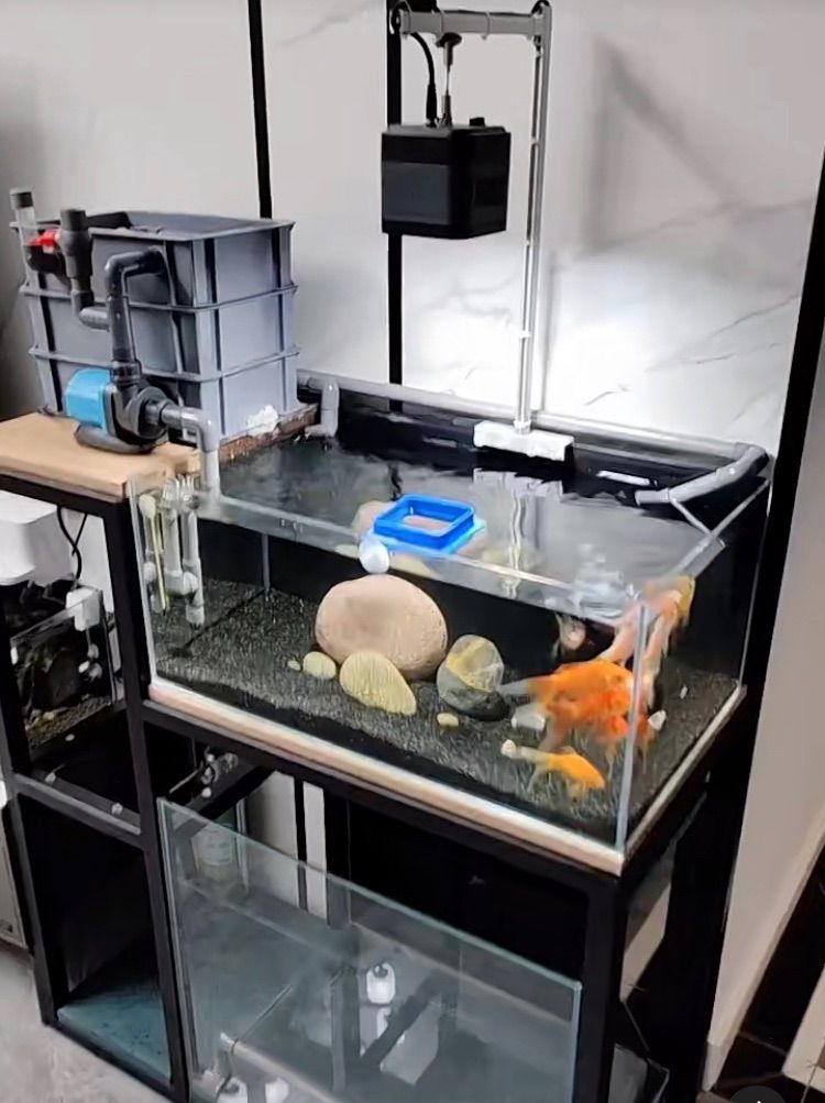 ろ材濾過材水槽フィルター水質浄化抜群高品質納豆菌入り角棒ろ材