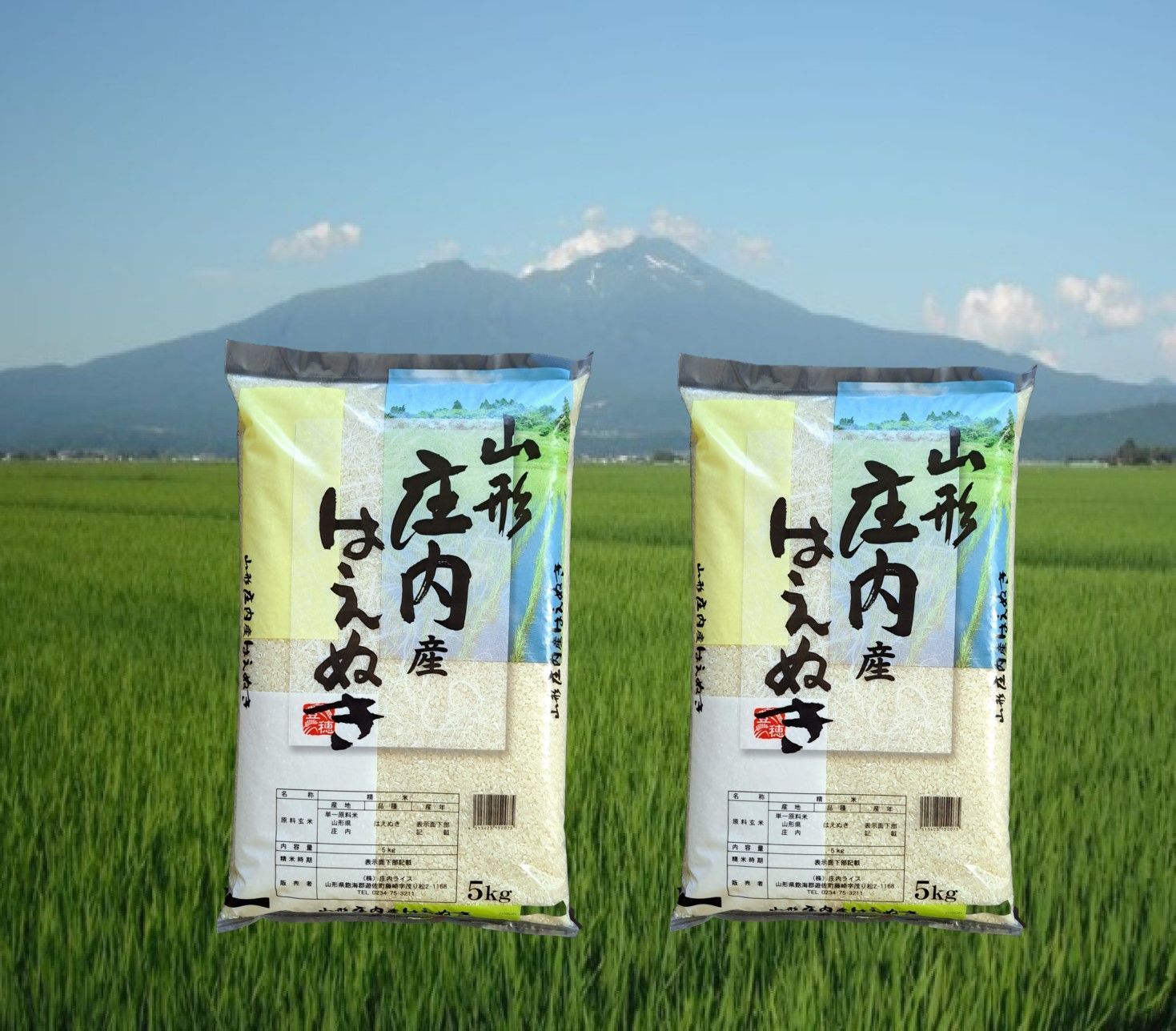 米 お米 令和6年産 山形県 庄内 はえぬき 10kg ５㎏×２袋