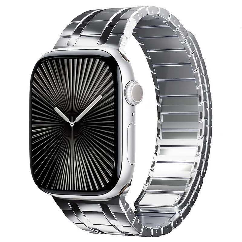 BELTIES デュアルラインマグネットバンド アップルウォッチバンド AppleWatch用 42mm Series 1 2 3 44mm 45mm 46mm Series 10 11 49mm ベルト マグネット ステンレス アップルウォッ