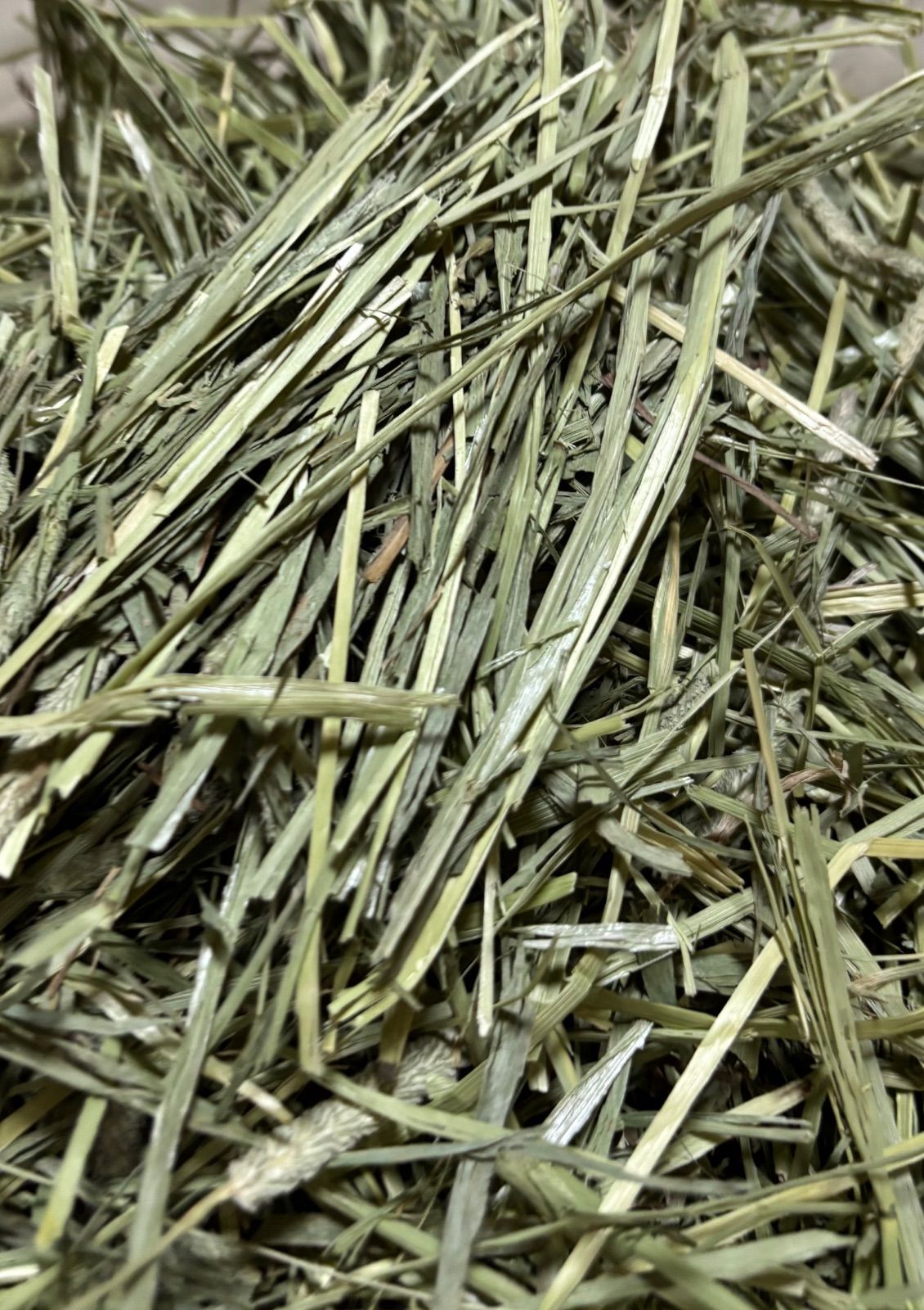 any grass オリジナルチモシーsoft premium 10kg 圧縮 any grassオリジナルチモシー super premium 3kg 圧縮 無選別 - メルカリ