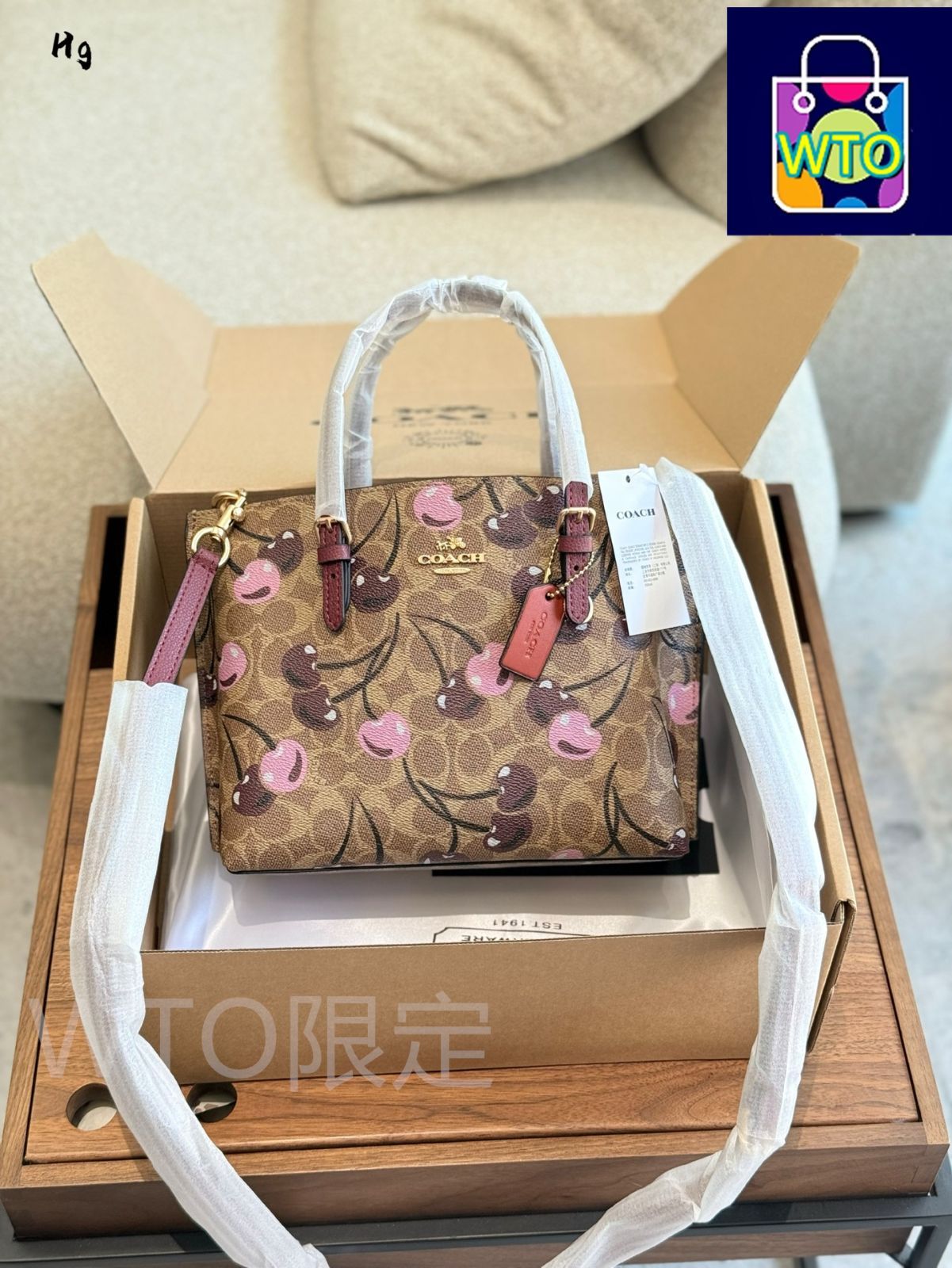 【可愛いチェリー柄★Coach★Mollieトートバッグ25 】 COACH® Outlet | Mollie Tote Bag 25 With Cherry Print