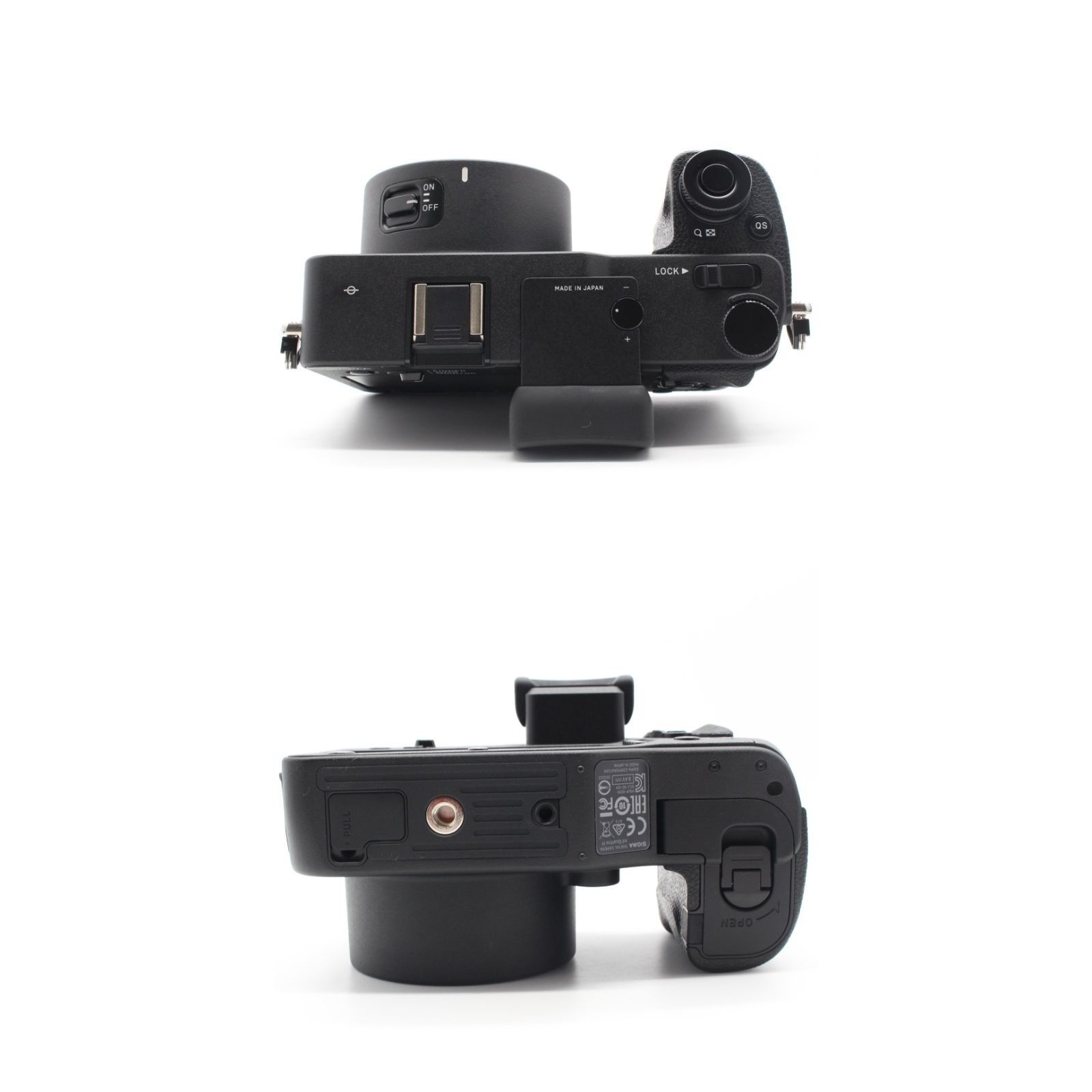 ニセアカシア　ピンク　ハリエンジユ 甘い香りの蜜源　3本おまとめ ニセアカシア ピンク ハリエンジユ 甘い香りの蜜源 3本おまとめ