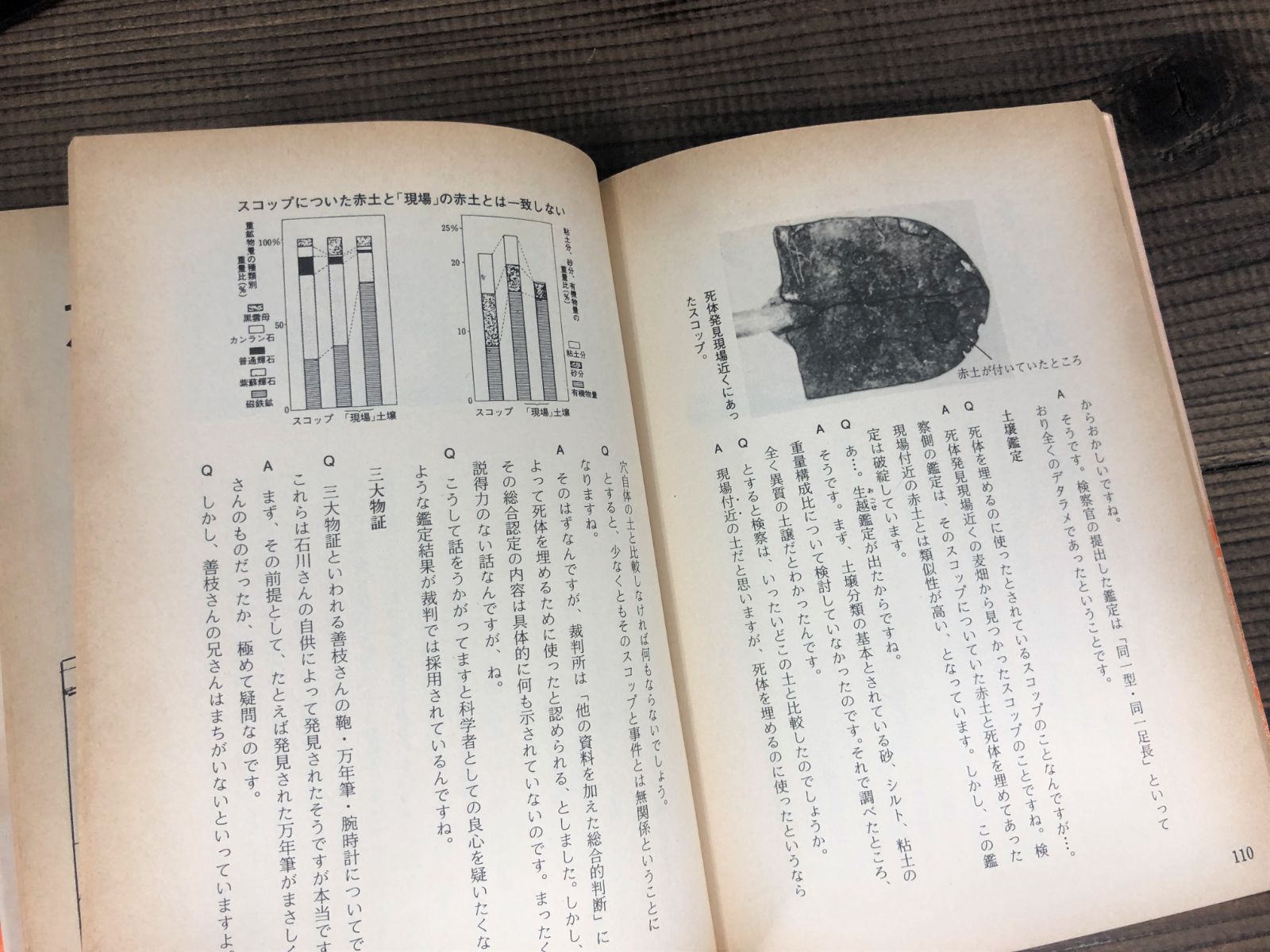 無実の叫びー差別と冤罪ー 劇画【単行本】作画：平口広美・木山茂 - メルカリ