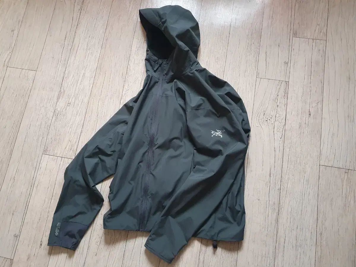 Sコンディション ARC TERYX アークテリクス ソーラーノ フーディー m