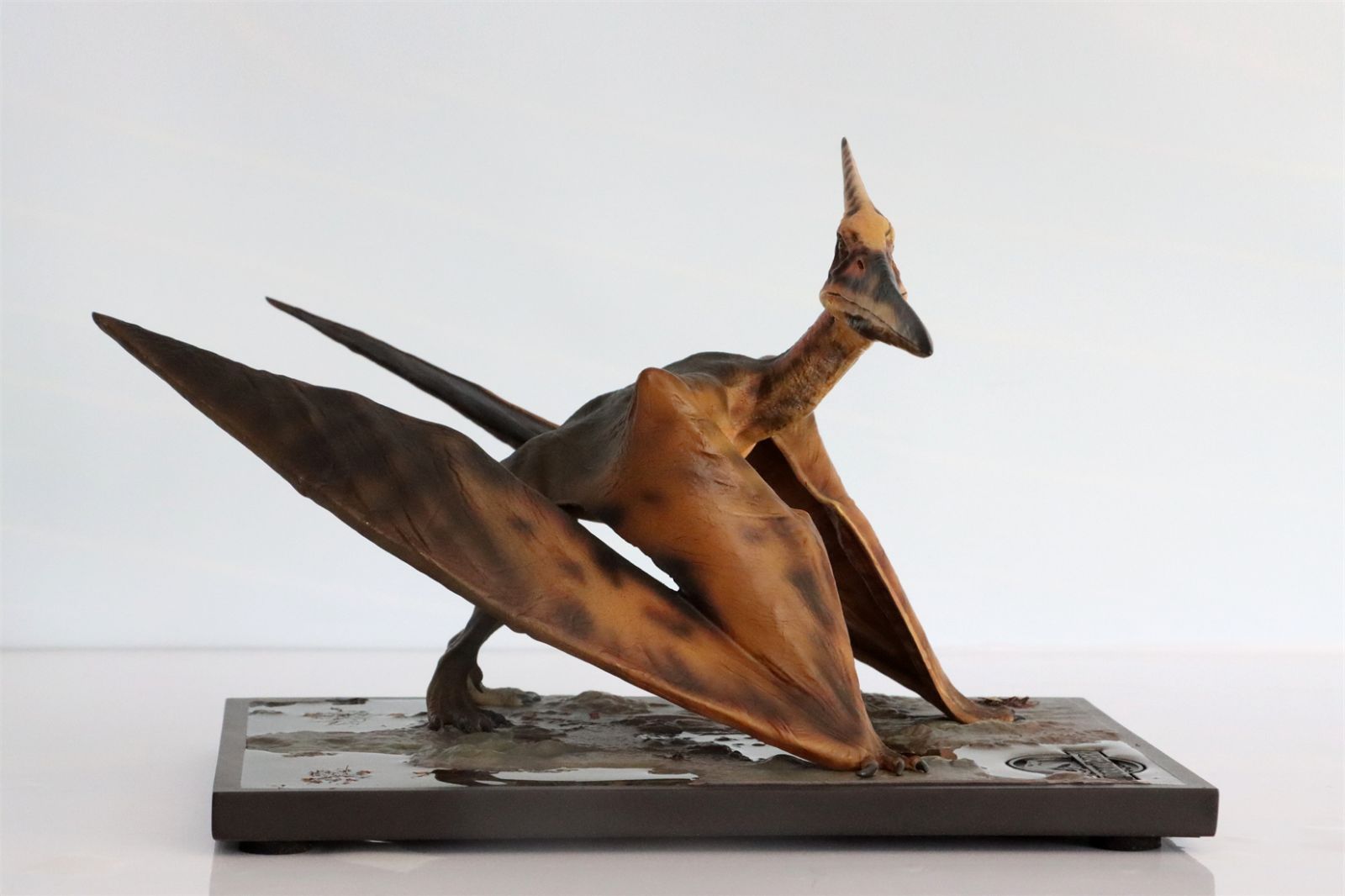 DINO DREAM 1/15 翼竜 恐竜 フィギュア おもちゃ 模型 23cm Amazon | DINO DREAM 1/15 サイズ 翼竜 恐竜 リアル フィギュア