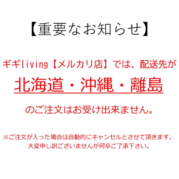 スリム 玄関