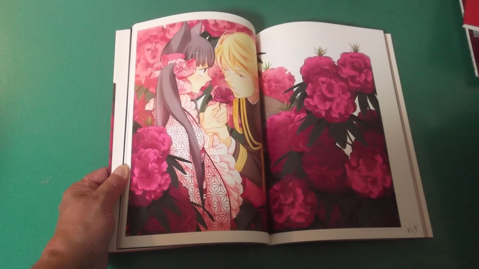 出M9428☆ 星野リリィ イラスト集 おとめ妖怪ざくろ 華 第1刷