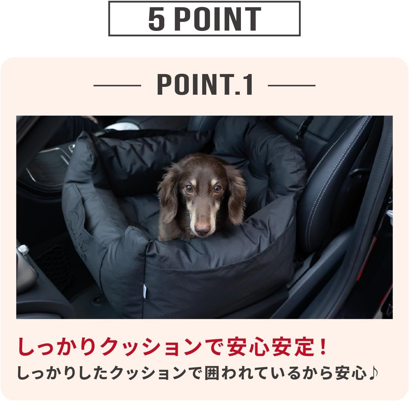 猫用