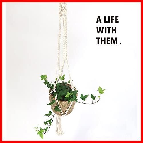 ハンギングポット マクラメ編プラントハンガーとセットの