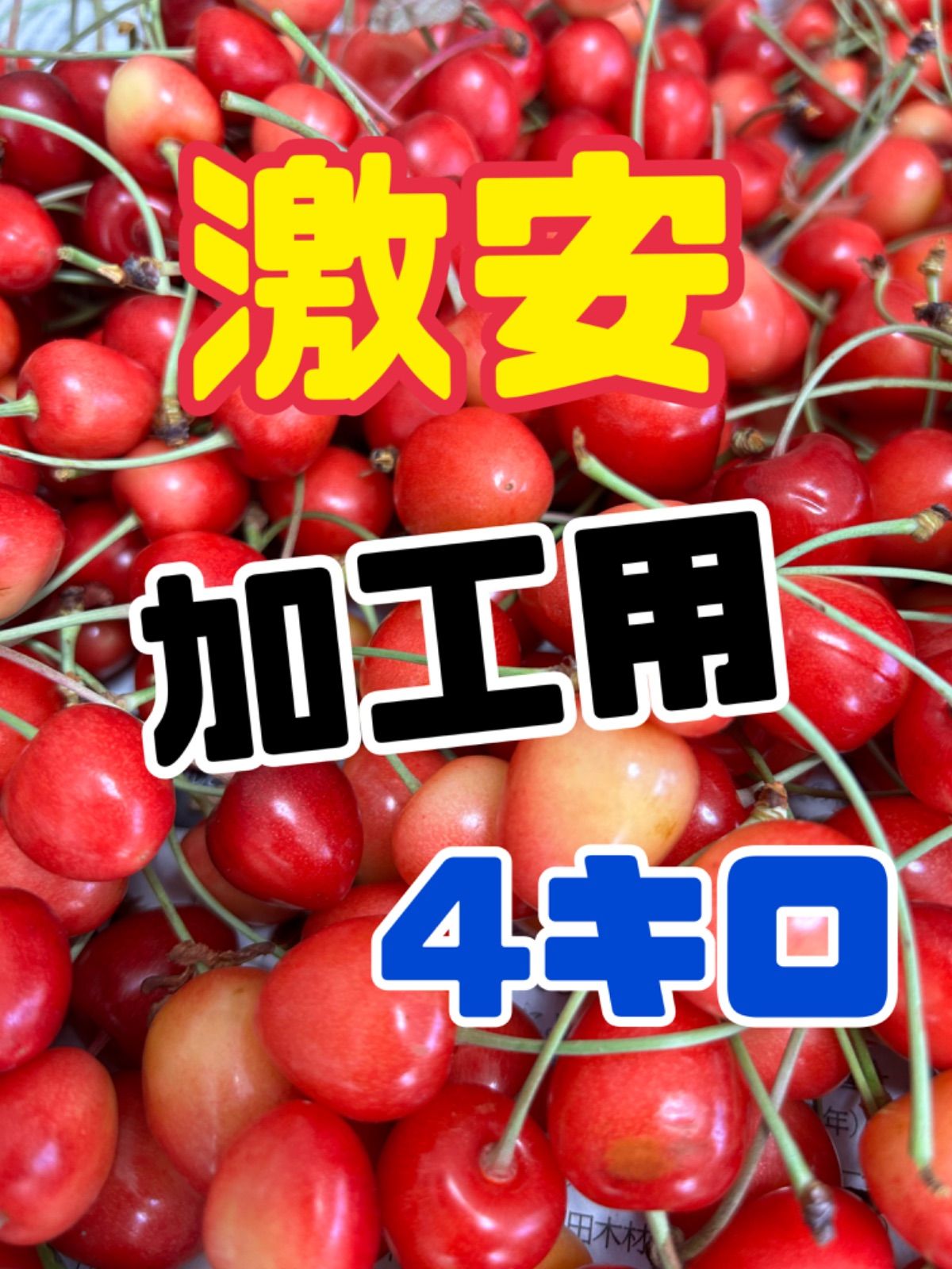 デコポン様 専用 予約販売 北海道産 さくらんぼ 加工用 冷蔵 果物