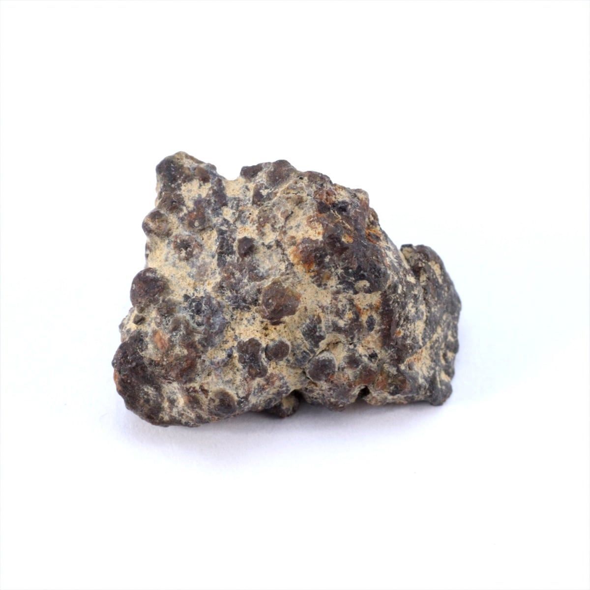 隕石 CV3 炭素質コンドライト(未分類) Shisr033 隕石 1.9g 炭素質コンドライトCR 石質隕石 標本 M2501