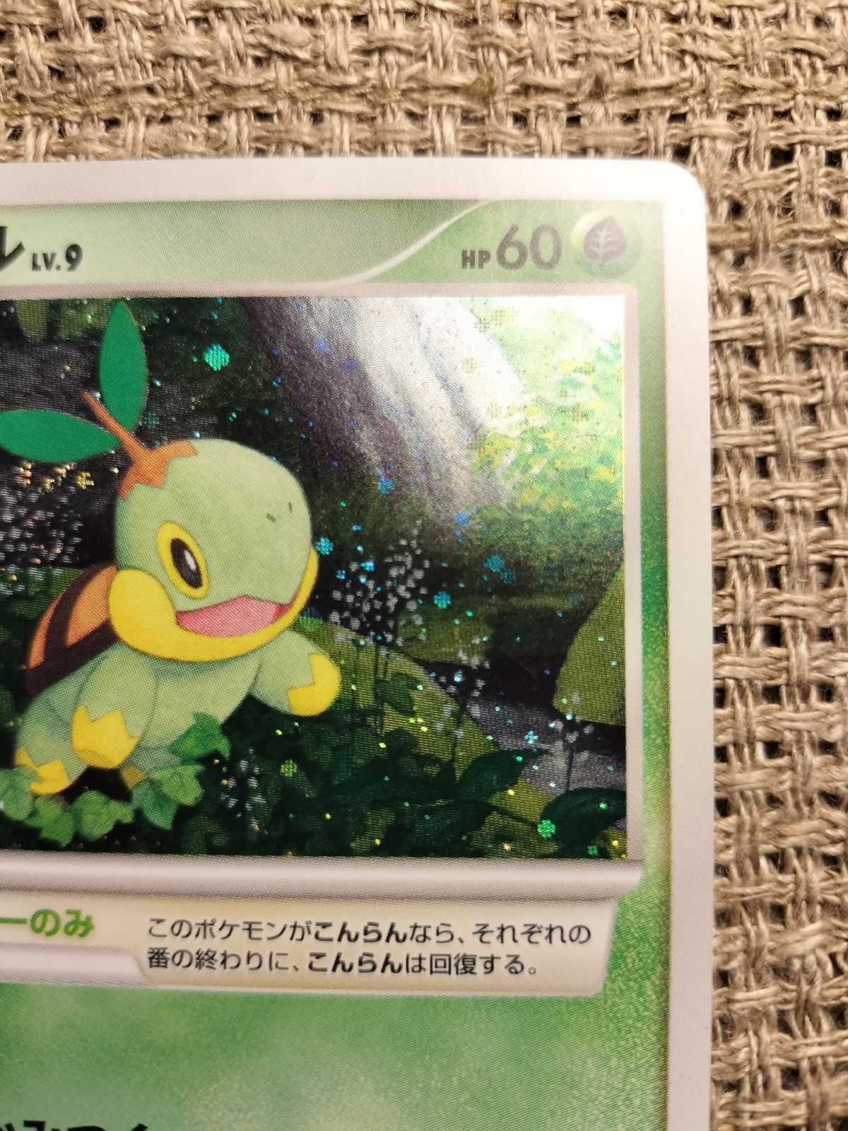 NO005_ナエトル(001/PPP)_ポケモンカード_新裏 - メルカリ