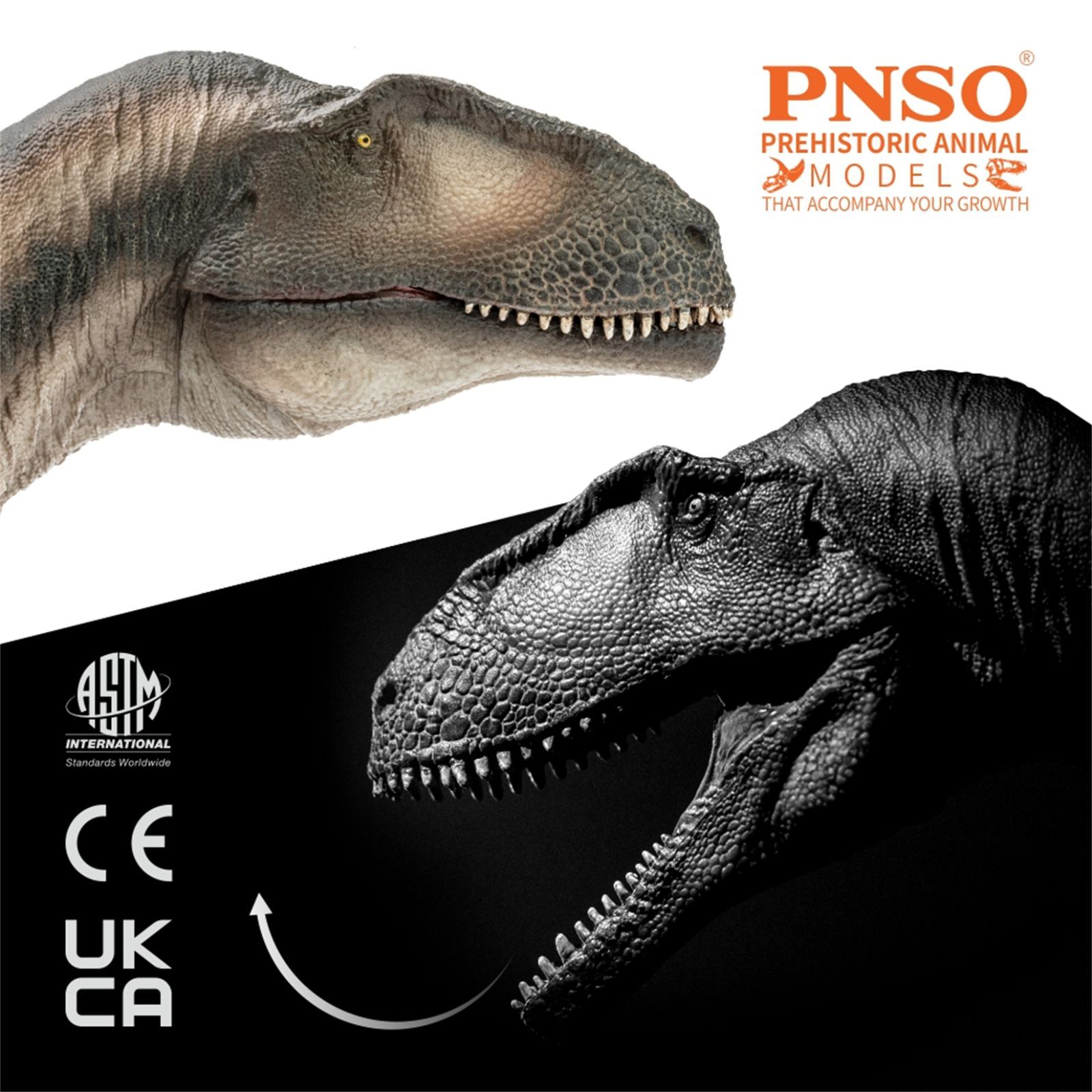 PNSO 成長シリーズ 68 マプサウルス 恐竜 フィギュア 36cm級