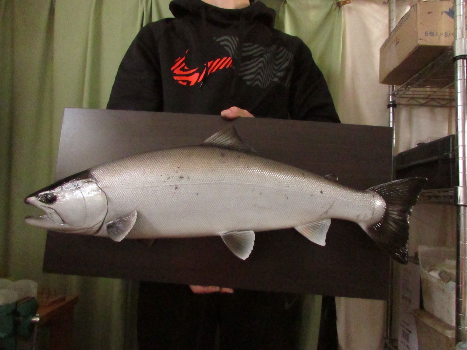 ハンドメイド ６４ｃｍサクラマス壁掛け 桜鱒 釣り フィギュア 魚模型 