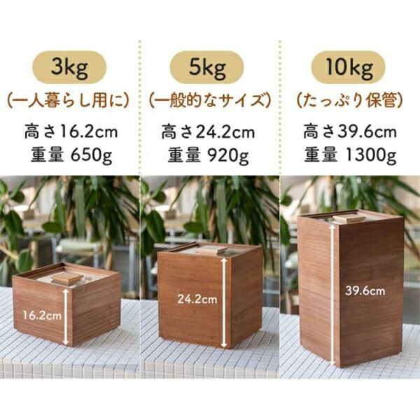 新生活