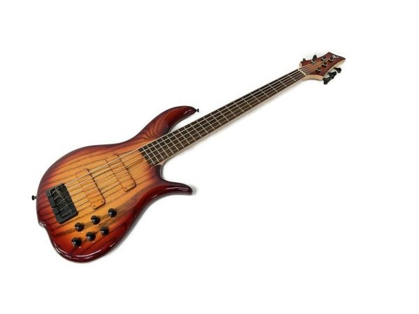 F-BASS BN5 エレキベース 5弦ベース 中古 S8146838 - メルカリ