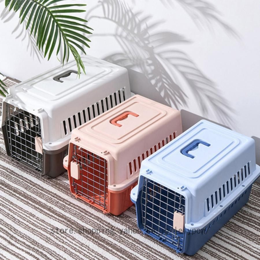 小型犬