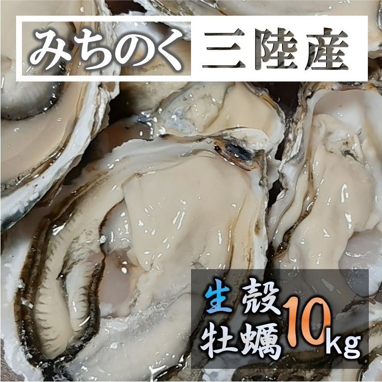 生食OK 三陸産 殻付き 生牡蠣 10kg 今季初出し 新鮮 宮城 石巻 鉄分 ミネラル豊富 カキ バーベキュー 貝 魚介類 かき 贈答 パーティ 刺身 焼く 蒸す 揚げ カキフライ 鍋 栄養 誕生日 プレゼント 海の幸 贈り物