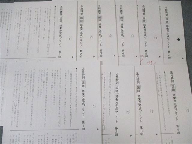 サピックス SAPIX 小6 SS特訓 国語 理科 語彙力完成プリント 第1～8回