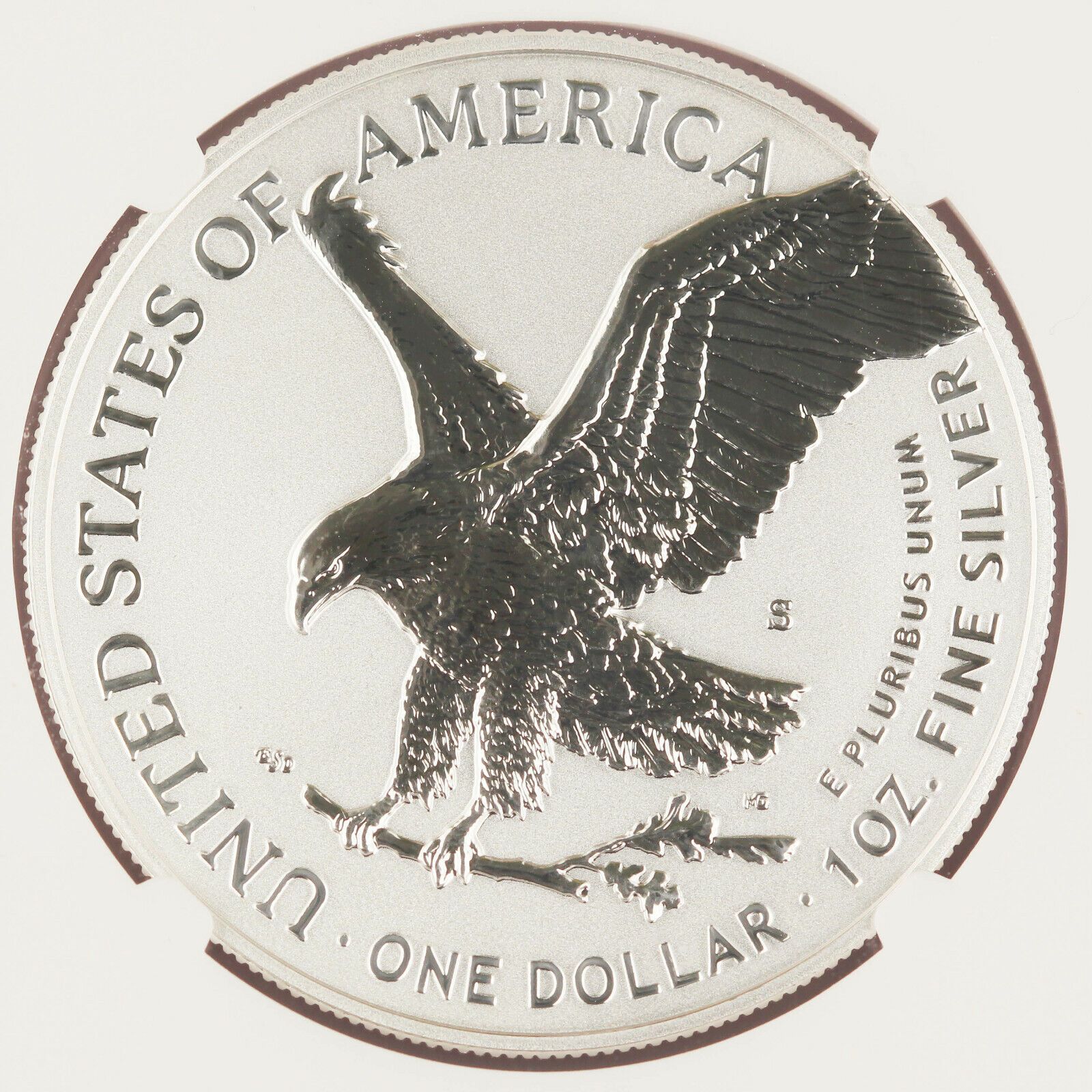 Silver Eagle