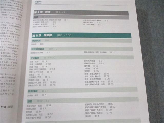 ネッター 解剖学アトラス