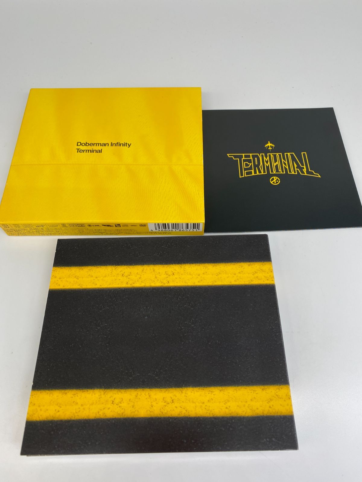 【50％OFF】 初回限定盤 3枚組 DOBERMAN INFINITY TERMINAL - メルカリ 絵画
