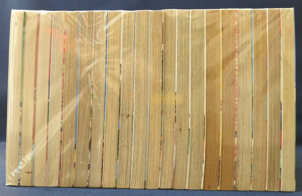 集英社 ヤングジャンプコミックス 桑沢篤夫 !!)緑山高校 全20巻 セット