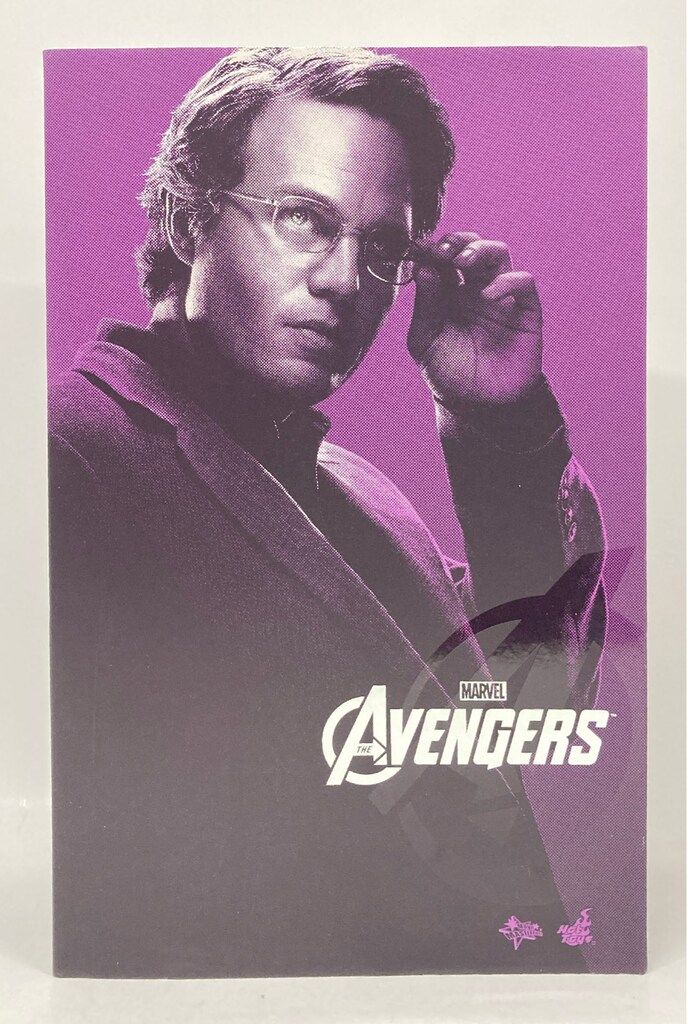 HOTTOYS MOVIE MASTERPIECE BRUCE BANNER MMS229