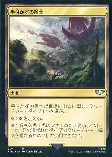 中古】マジックザギャザリング 304[U]：【40K】手付かずの領土