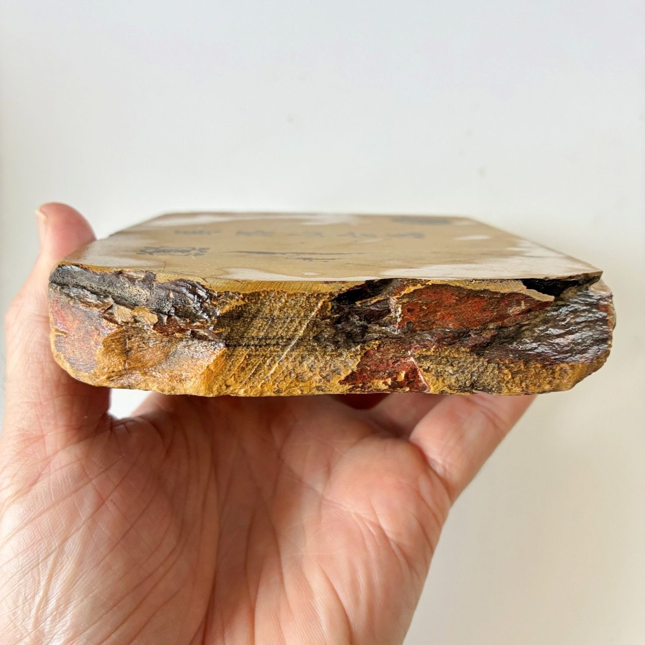 正本山
