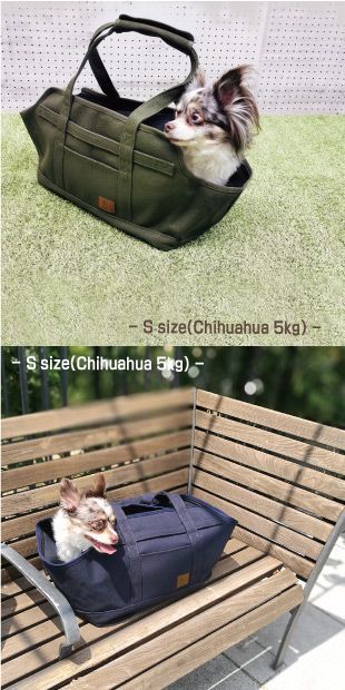 おしゃれ 超小型犬