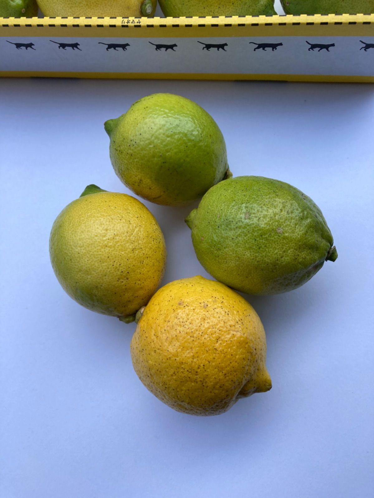 国産無農薬レモン14個Sサイズ メルカリShops
