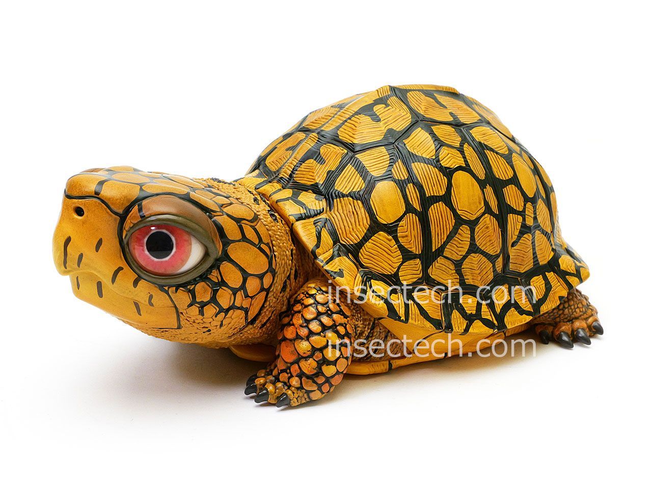 動物の惑星】最速☆ユカタンハコガメ☆シークレット! フィギュア