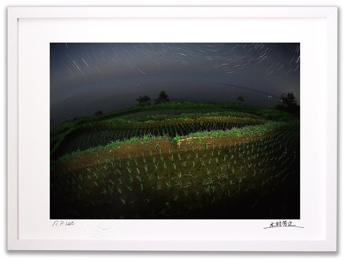 レジンヘアゴム ダブル マトリカリア ラベンダー ピンク ビオラ ミモザ