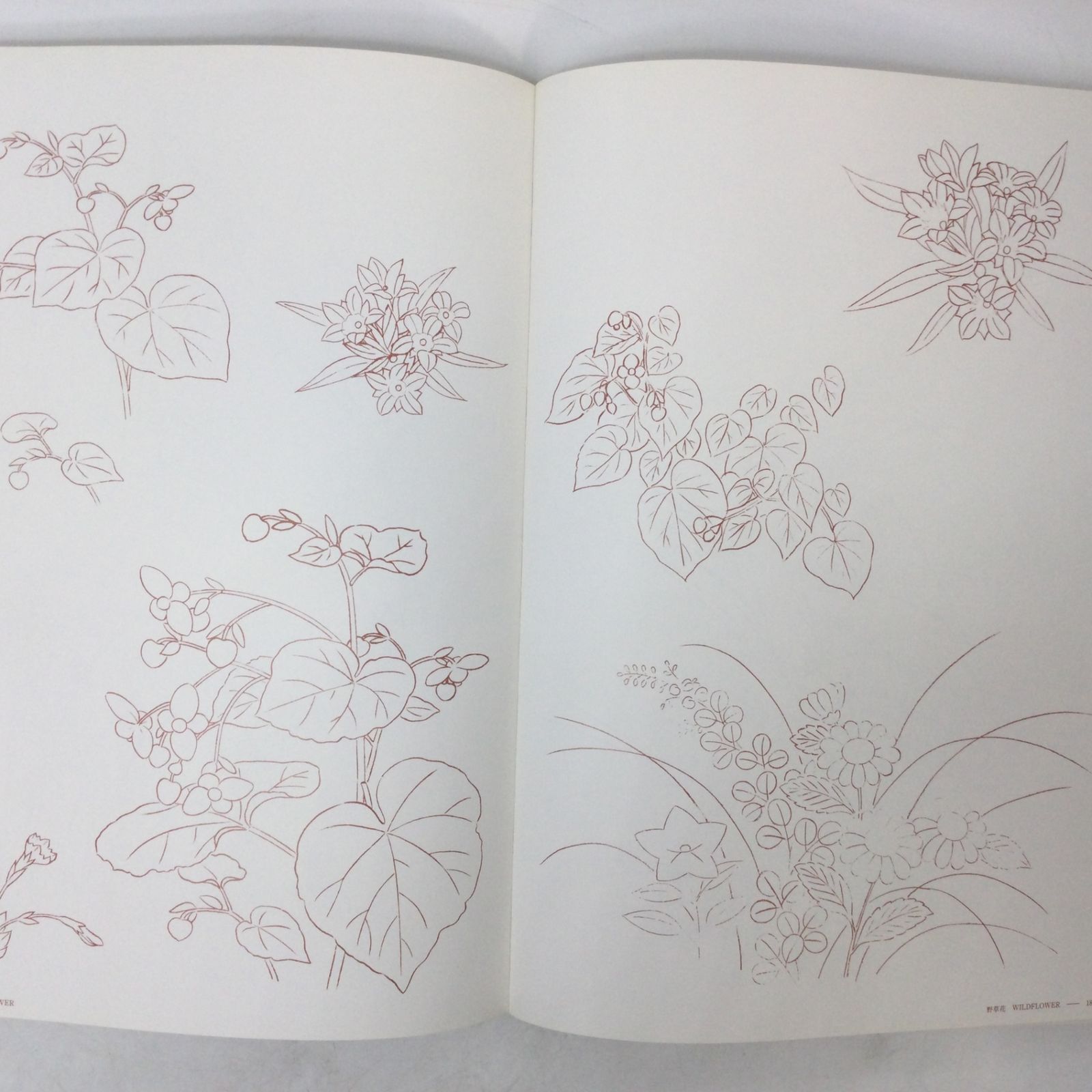 日本刺繍下絵集 斎藤磬 京都書院 昭和61年 1986年発行 京都書院 函付 6180 日本刺繍下絵集 斎藤磬 京都書院 昭和61年 1986年発行 京都書院