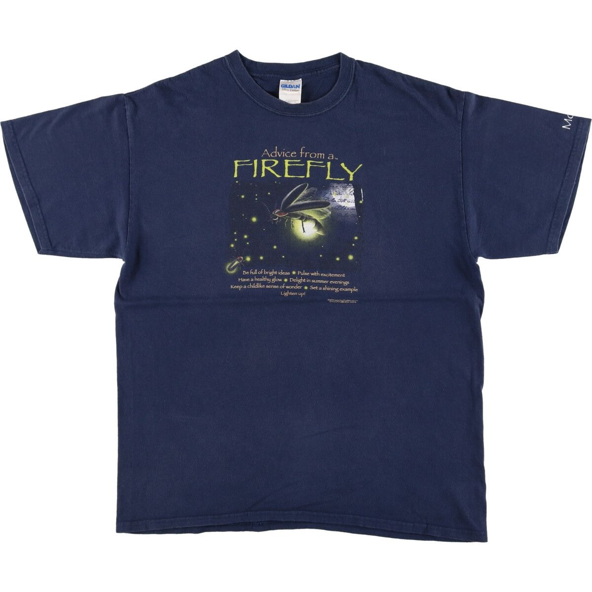 古着 ギルダン GILDAN プリントTシャツ メンズL相当/eaa437303