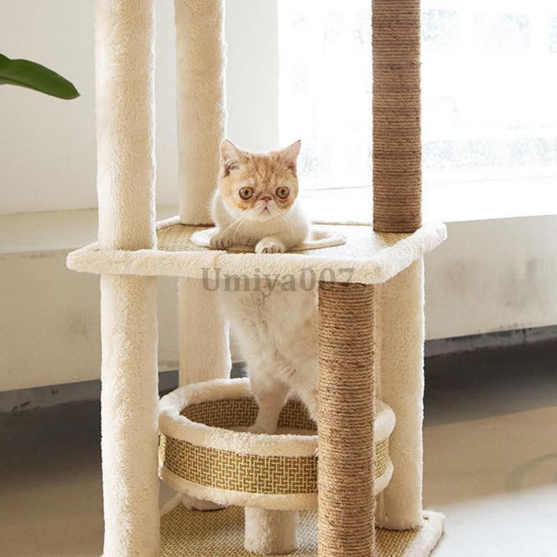 ねこ 爪とぎ