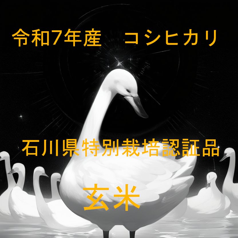 令和６年 石川県産 特別栽培コシヒカリ 精米約18キロ