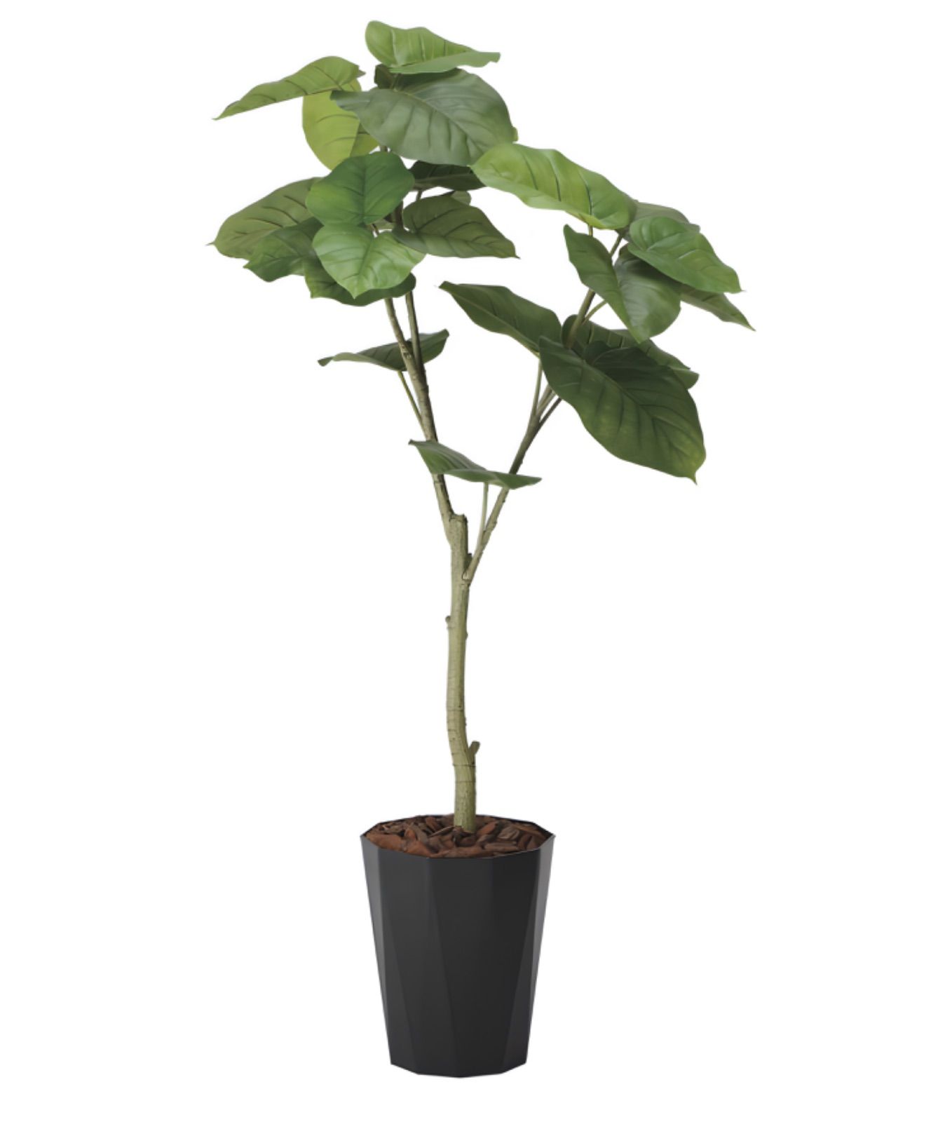 光触媒 人工観葉植物 ウォールグリーン フレッシュウンベラータ1.35m@gja