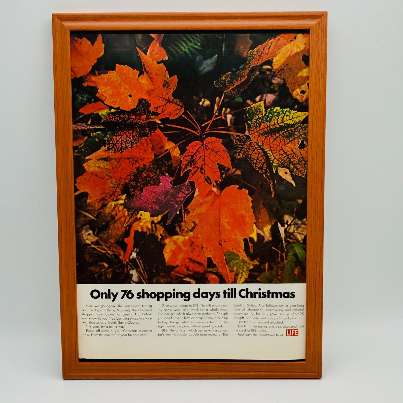 裏世界ピクニック　ポスター　当選品 ビンテージ 広告 ポスター 『 ライフ (LIFE) 』 1960's 額付 ※当時物