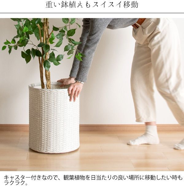 人工ラタン