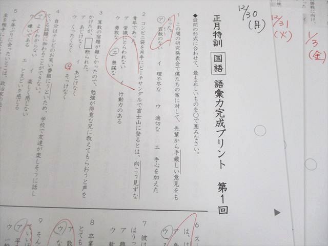 SS特訓 冬期講習 正月特訓　語彙力完成プリント　サピックス　❴非売品❵ SAPIX サピックス SS特訓/冬期講習/正月特訓 語彙力完成プリント
