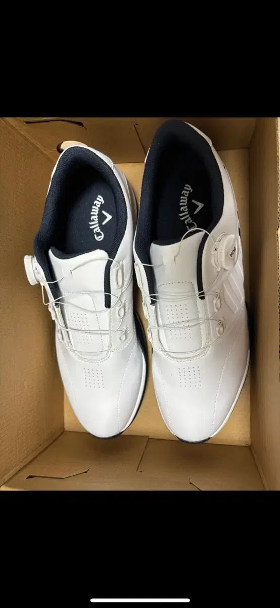 キャロウェイゴルフシューズ 新品Callaway ゴルフシューズ ホワイト