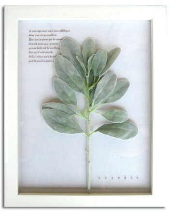 ハーブ アートフレーム Herbe frame Stachys byzantina(ラムズイヤー)/インテリア 壁掛け 額入り 額装込 風景画 油絵 ポスター アート アートパネル リビング 玄関 プレゼント モダン アートフレーム 