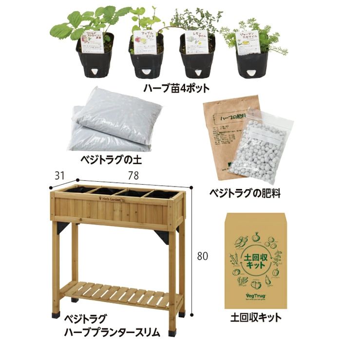 はじめる菜園セット 料理におすすめハーブ苗