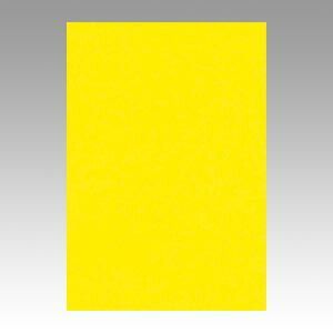 （まとめ） 色画用紙 文運堂 ニューカラーＲ レモン 8NCR-319 4954022683191 1冊【×10セット】