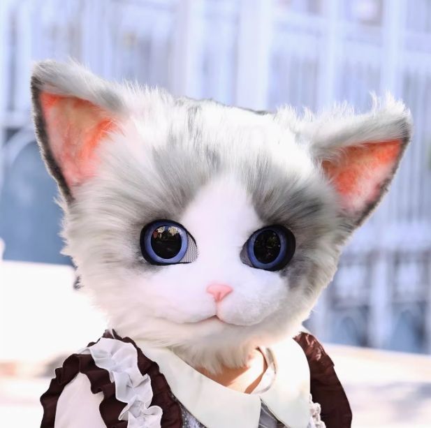 着ぐるみヘッド 猫 リアルスタイル Bタイプ 猫面 全頭ヘッド