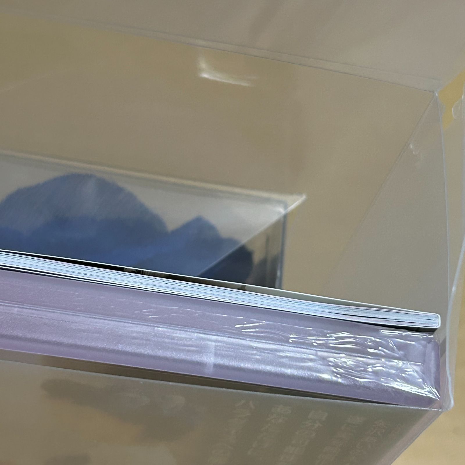 サンプル品　新品　パラダイス・キス　コサージュへアアクセ付（2枚組）初回限定生産 パラダイス・キス プレミアム・エディション／コサージュ風へアアクセ