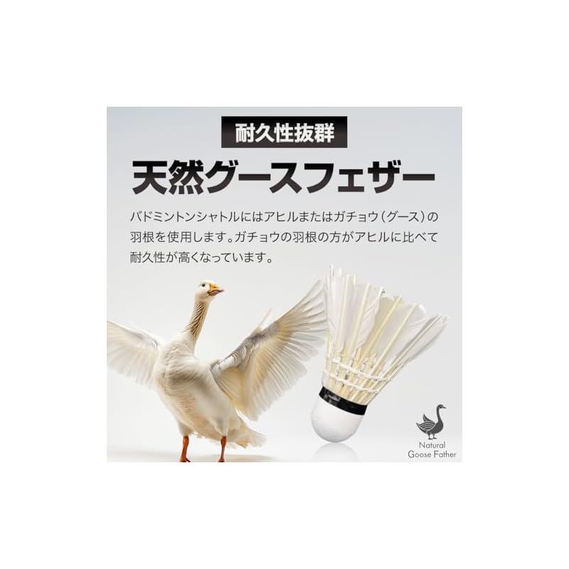4セットFLYERバドミントンシャトルコック 12個入り耐久性の高いガチョウの羽 訳あり特価品質ムラあり】お得に試せる練習用 バドミントン