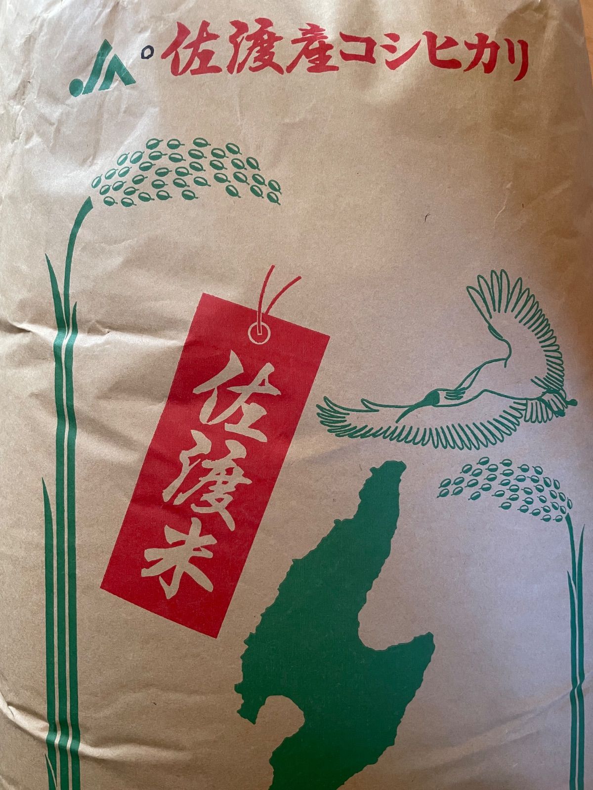 真作/野原金風/立雛図/描き表装/布袋屋掛軸HE-616 真作/野原金風/立雛図/描き表装/布袋屋掛軸HE-616 - メルカリ